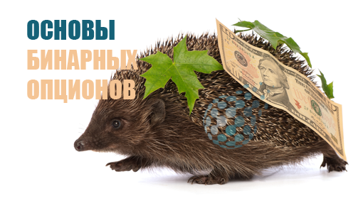 Основы бинарных опционов