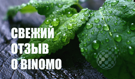 Свежий отзыв о Биномо 2016