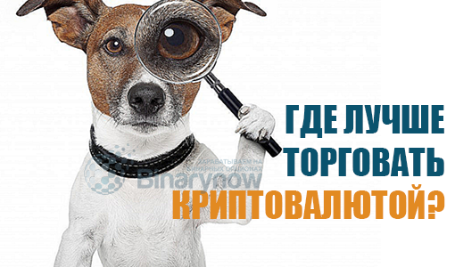 Где лучше торговать криптовалютой и какой из вариантов выбрать
