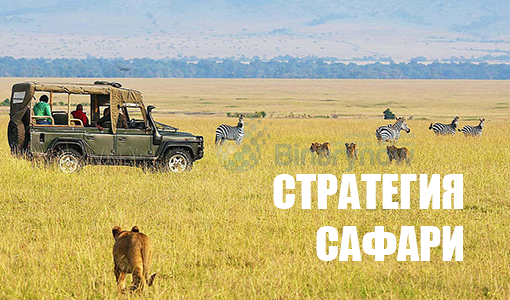 Торговая стратегия Сафари для рынка бинарных опционов