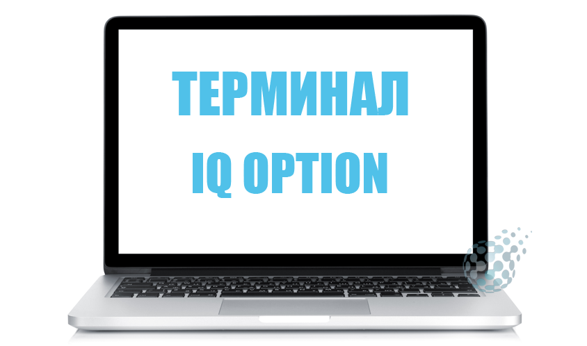 Обзор торговой платформы IQ Option