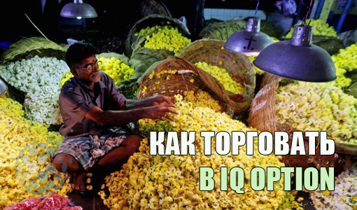 Как правильно торговать у брокера IQ Option