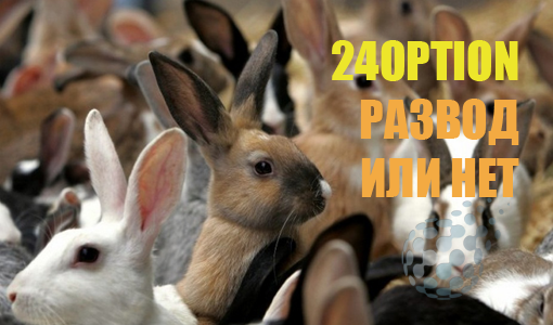 24option это развод или нет - привожу факты