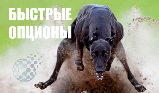 Быстрые опционы - особенности торговли