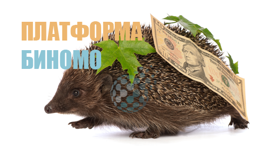 Платформа брокера Биномо